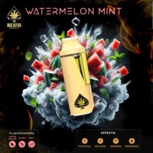 Ace Ultra Gen 4 Ace Watermelon Mint